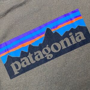 Patagonia Graphic Tee
